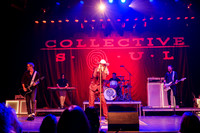 012926_OC_VIBE_GROVE_009