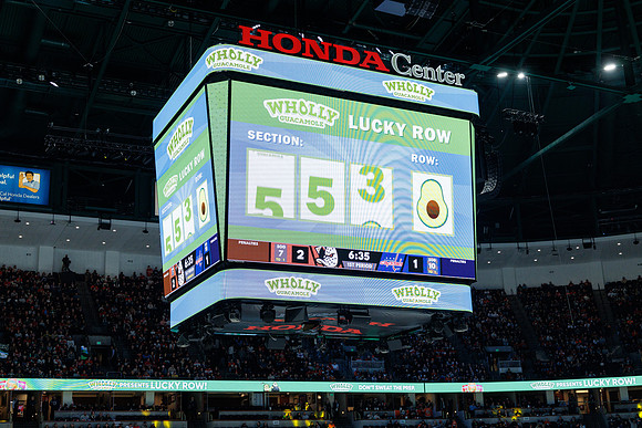 031125_ANAHEIM_DUCKS_1092