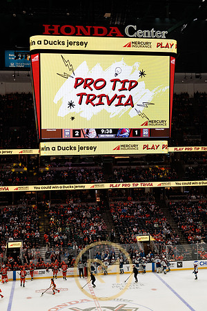 041325_ANAHEIM_DUCKS_390