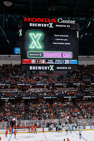 101624_ANAHEIM_DUCKS_0602