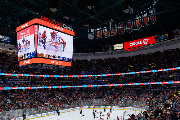 031125_ANAHEIM_DUCKS_1301