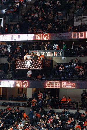 031125_ANAHEIM_DUCKS_0971