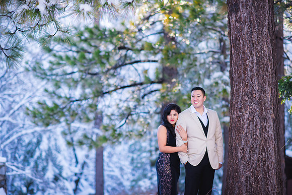 ENGAGEMENT_022415_0060