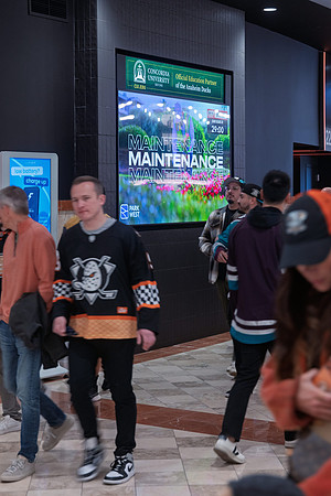 051026_ANAHEIM_DUCKS_175
