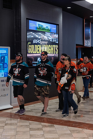 051026_ANAHEIM_DUCKS_182