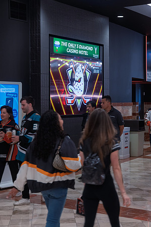 051026_ANAHEIM_DUCKS_214