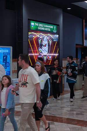 051026_ANAHEIM_DUCKS_213
