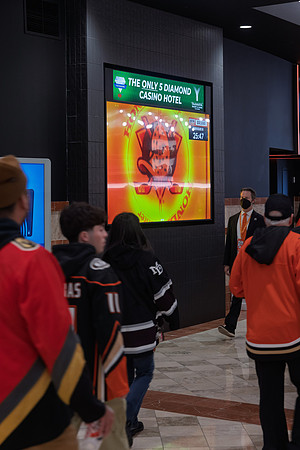 051026_ANAHEIM_DUCKS_216