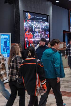 051026_ANAHEIM_DUCKS_233