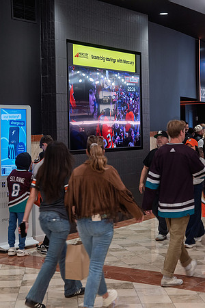 051026_ANAHEIM_DUCKS_244