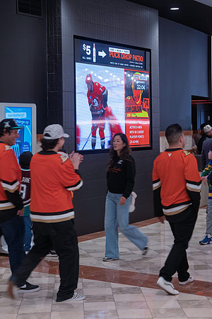051026_ANAHEIM_DUCKS_249