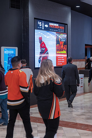 051026_ANAHEIM_DUCKS_247
