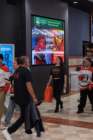 051026_ANAHEIM_DUCKS_259