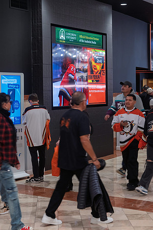051026_ANAHEIM_DUCKS_260