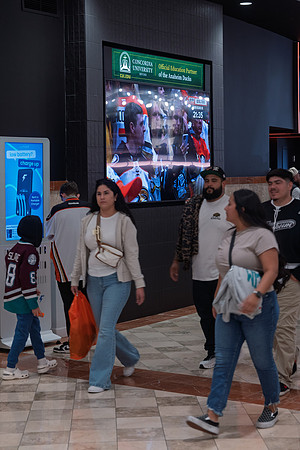 051026_ANAHEIM_DUCKS_264