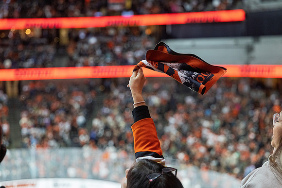 051026_ANAHEIM_DUCKS_750