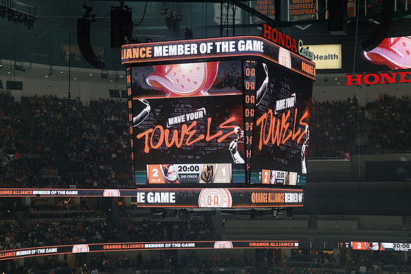 051026_ANAHEIM_DUCKS_882