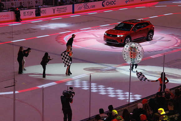 031125_ANAHEIM_DUCKS_1387