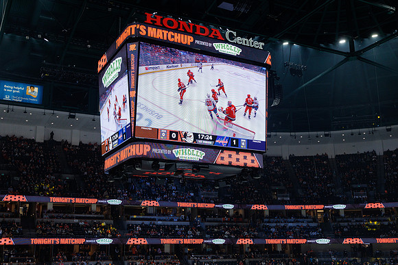 031125_ANAHEIM_DUCKS_0983