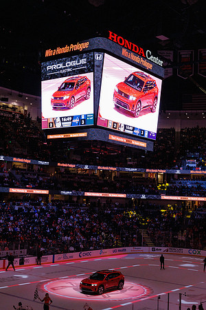 031125_ANAHEIM_DUCKS_1370