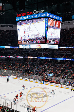 041325_ANAHEIM_DUCKS_183