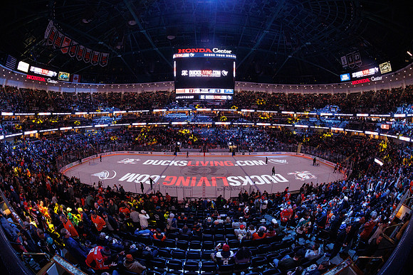 031125_ANAHEIM_DUCKS_0224