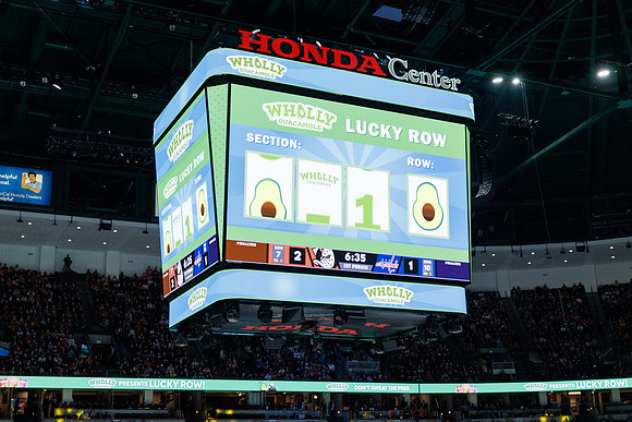 031125_ANAHEIM_DUCKS_1090