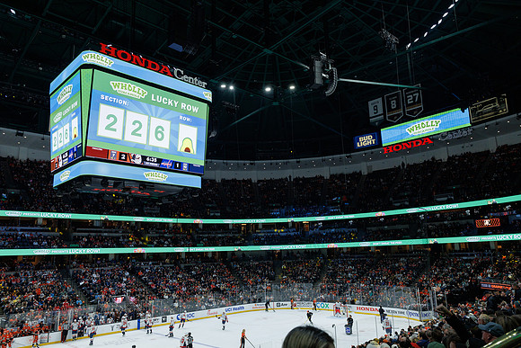 031125_ANAHEIM_DUCKS_1095