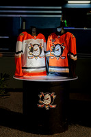 080426_ANAHEIM_DUCKS_RMR14332