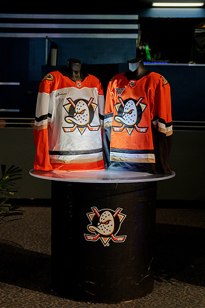 080426_ANAHEIM_DUCKS_RMR14332