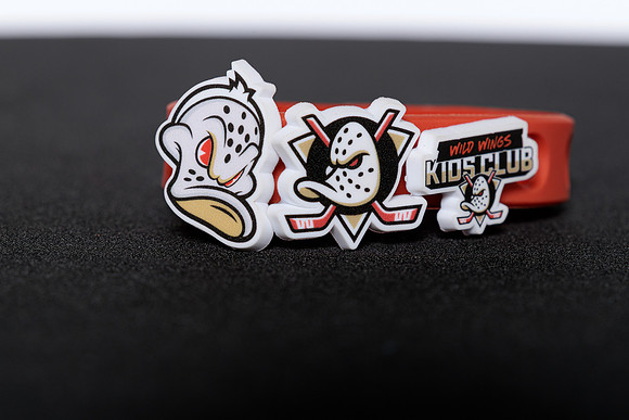 090826_ANAHEIM_DUCKS_RMRMR56852