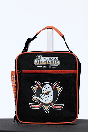 090826_ANAHEIM_DUCKS_RMRMR56851