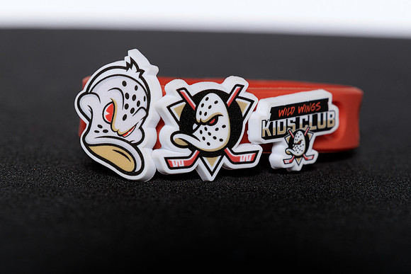 090826_ANAHEIM_DUCKS_RMRMR56853
