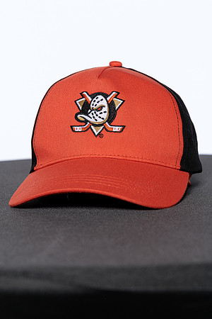090826_ANAHEIM_DUCKS_RMRMR56860