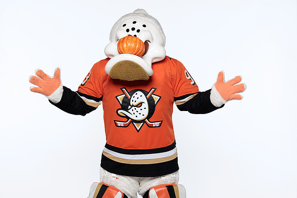 090826_ANAHEIM_DUCKS_RMRMR57084