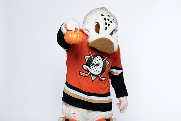 090826_ANAHEIM_DUCKS_RMRMR57089