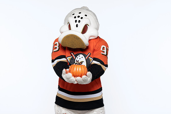 090826_ANAHEIM_DUCKS_RMRMR57091
