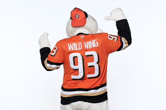 090826_ANAHEIM_DUCKS_RMRMR57119