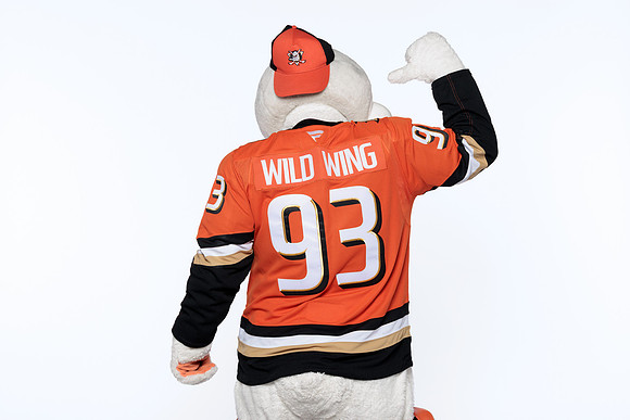090826_ANAHEIM_DUCKS_RMRMR57120