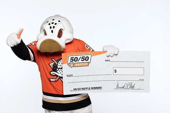 090826_ANAHEIM_DUCKS_RMRMR57174