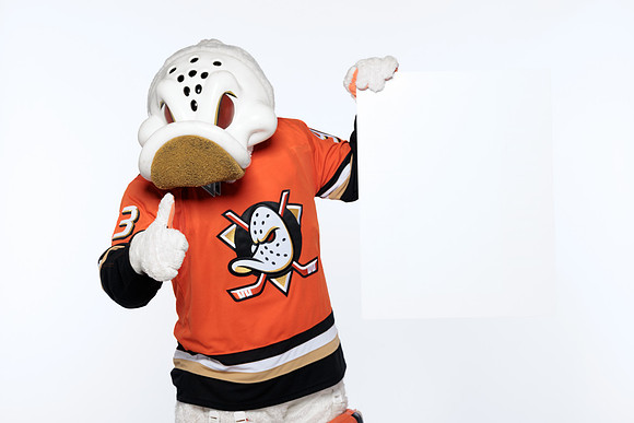 090826_ANAHEIM_DUCKS_RMRMR57178
