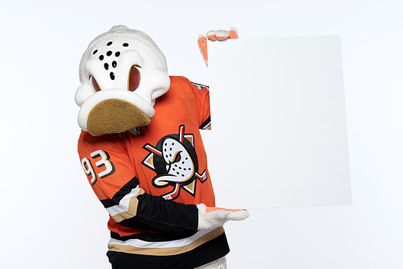 090826_ANAHEIM_DUCKS_RMRMR57176