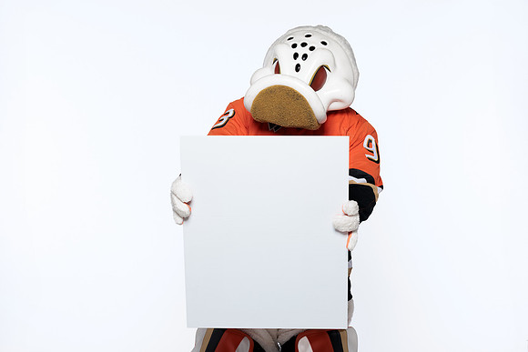 090826_ANAHEIM_DUCKS_RMRMR57180
