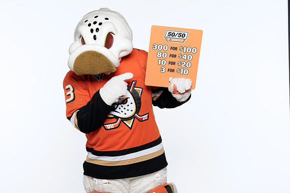 090826_ANAHEIM_DUCKS_RMRMR57190