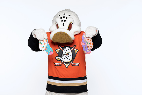 090826_ANAHEIM_DUCKS_RMRMR57198