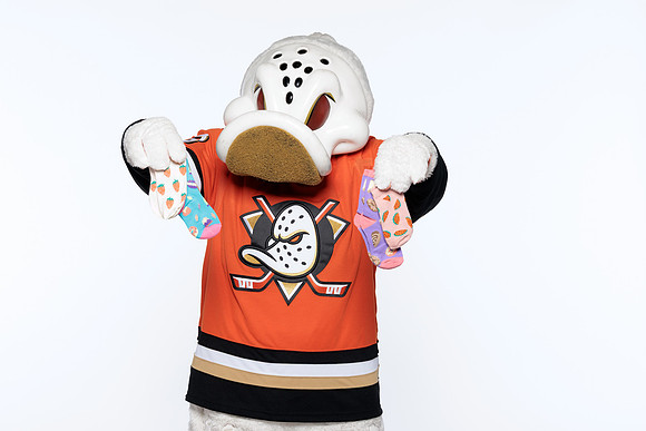 090826_ANAHEIM_DUCKS_RMRMR57196