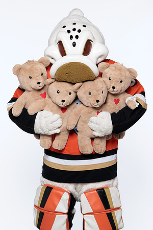 090926_ANAHEIM_DUCKS_RMR57261
