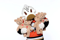 090926_ANAHEIM_DUCKS_RMR57265