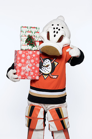 090926_ANAHEIM_DUCKS_RMR57286