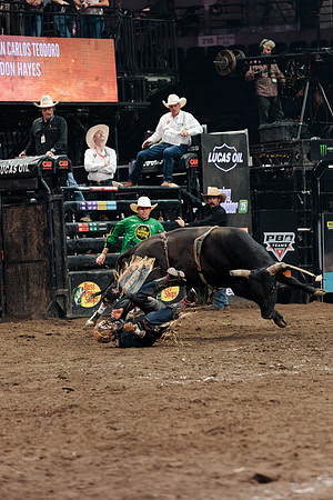 091326_HONDA_CENTER_RMR16194